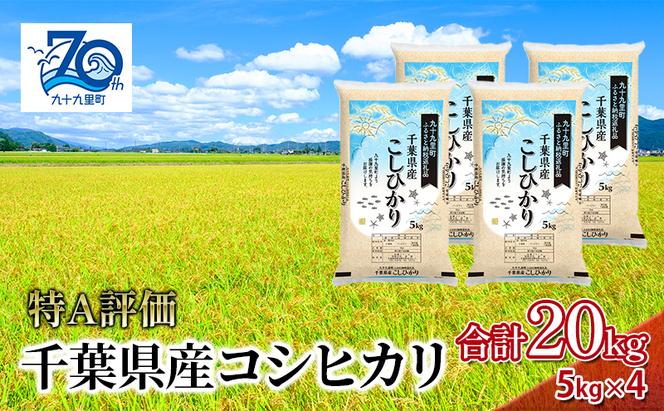 米 千葉県産コシヒカリ5kg×4 こしひかり セット お米 特A評価 精米 ふっくら もっちり 粘り気 旨み 香り ツヤ やわらかい 歯ごたえ 九十九里町 千葉県