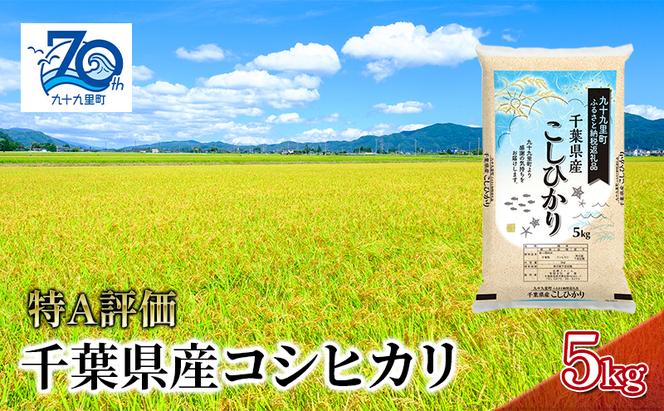 米 千葉県産コシヒカリ5kg こしひかり セット お米 特A評価 精米 ふっくら もっちり 粘り気 旨み 香り ツヤ やわらかい 歯ごたえ 九十九里町 千葉県