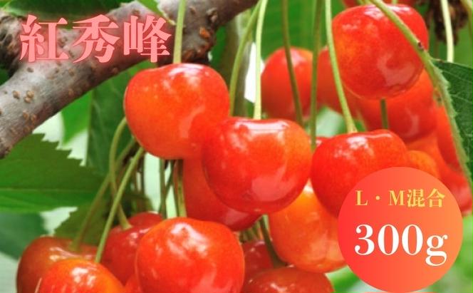 北海道 仁木町産 サクランボ 紅秀峰 300g L-Mサイズ  松山商店