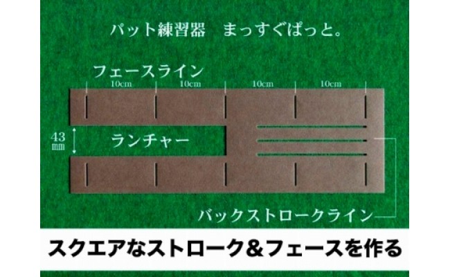 【CF-R5cbs】PGS101　ゴルフ練習用・最高速EXPERTパターマット30cm×3mと練習用具（距離感マスターカップ、まっすぐぱっと、トレーニングリング付き）（土佐カントリークラブオリジナル仕様）【TOSACC2019】〈高知市共通返礼品〉