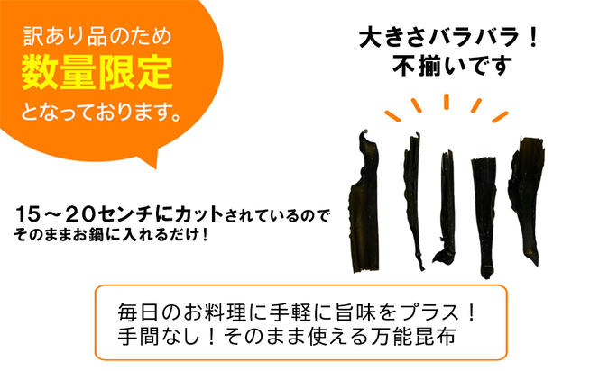 【北海道産】 訳あり 根昆布切り落とし 600g 不揃い 真昆布 昆布