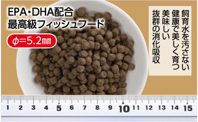 【CF-R5cbs】KGC016　GROW F ペレット 330g 大型熱帯魚用 ＜最高級 フィッシュフード EPA・DHA配合 ペレットタイプ 沈降性 魚 餌＞【餌 えさ エサ】【観賞魚 餌やり】【水槽/熱帯魚/観賞魚/飼育】【生体】【アクアリウム/あくありうむ】