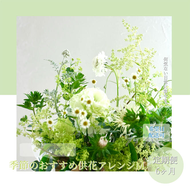 【CF-R5cbs】t173tmf　《6ヵ月定期便》生花アレンジ お供え 供花M 定期便 定期コース 全6回 フラワーアレンジメント そのまま飾れる お供え 花束 生花 仏花 供花 花束 はな 花 法要 お盆 季節のお花 供花 お供え
