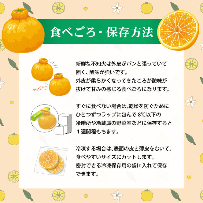 土佐文旦と温室不知火(シラヌイ)の詰め合わせ 約3kg セット 詰め合わせ ぶんたん ブンタン 果物 フルーツ 柑橘 しらぬい みかん ミカン 故郷納税 ふるさとのうぜい 返礼品 高知県 高知