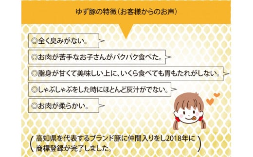 【CF-R5frp】GRS003　【高知のブランド豚/ゆず豚】脂身が甘いジューシーとんかつ4枚入り＆ソーセージ2P（約1kg）- トンカツ 豚 カツ ソーセージ セット 詰め合わせ 豚肉 肉 国産 ロースとんかつ ギフト・熨斗対応可 贈答