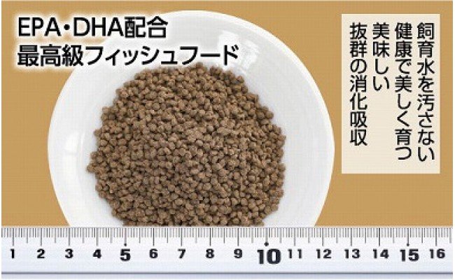 【CF-R5frp】KGC007　GROW D ペレット 95g 小・中型熱帯魚用 ＜最高級 フィッシュフード EPA・DHA配合 ペレットタイプ 魚 餌＞ コリドラス どじょう シュリンプ 等【餌 えさ エサ】【観賞魚 餌やり】【水槽/熱帯魚/観賞魚/飼育】【生体】【アクアリウム/あくありうむ】