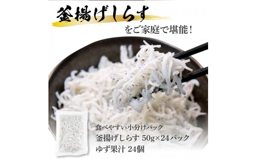 【CF-R5frp】KGP068　高知県産釜揚げしらす 50g×24パック 簡易梱包 小分け 国産 釜揚げ シラス丼 海鮮丼 ゆず付 お茶漬け 軍艦巻き 手巻き寿司 24人前 大容量 冷凍配送 おかず お取り寄せ のし対応 ギフト