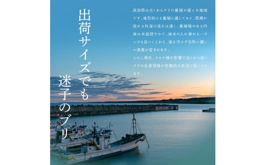 【CF-R5cdm】「ブリの漬け丼の素」1食80g×15P《迷子のブリを食べて応援 養殖生産業者応援プロジェクト》