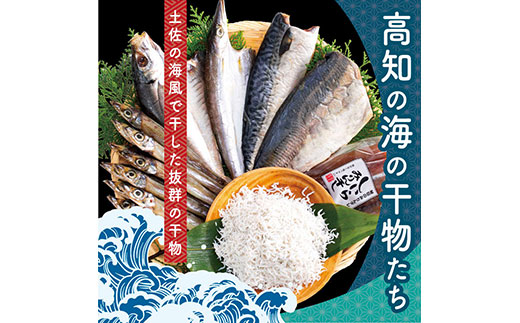 【CF-R5cdm】SST002　高知の海の干物たち＜土佐の海風で干した抜群の干物を＞＜高知市・南国市共通返礼品＞