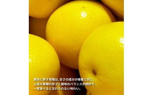 【CF-R5oni】TKA040　先行予約 土佐の柑橘 土佐文旦 5kg 詰め合わせ （皮むき機）付き 文旦 5キロ ぶんたん 柑橘 高知県 高知 返礼品 故郷納税 16000円 果物 くだもの フルーツ お取り寄せ 美味しい おいしい ギフト プレゼント 贈答品 贈り物 お歳暮 御歳暮 熨斗 のし 常温