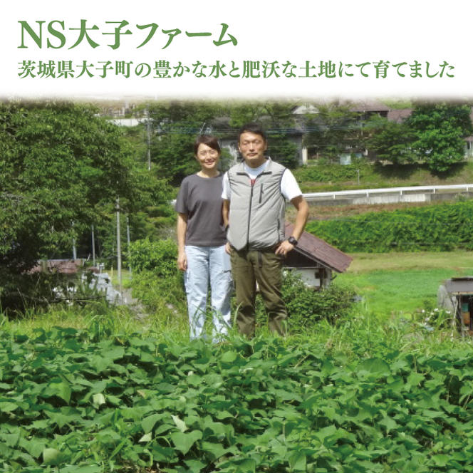 【数量限定】さつまいも 3種食べ比べセット 合計5kg 詰め合わせ（紅はるか・シルクスイート・くりかぐや） 茨城県産 サツマイモ 焼き芋 ホクホク 野菜（CH002）