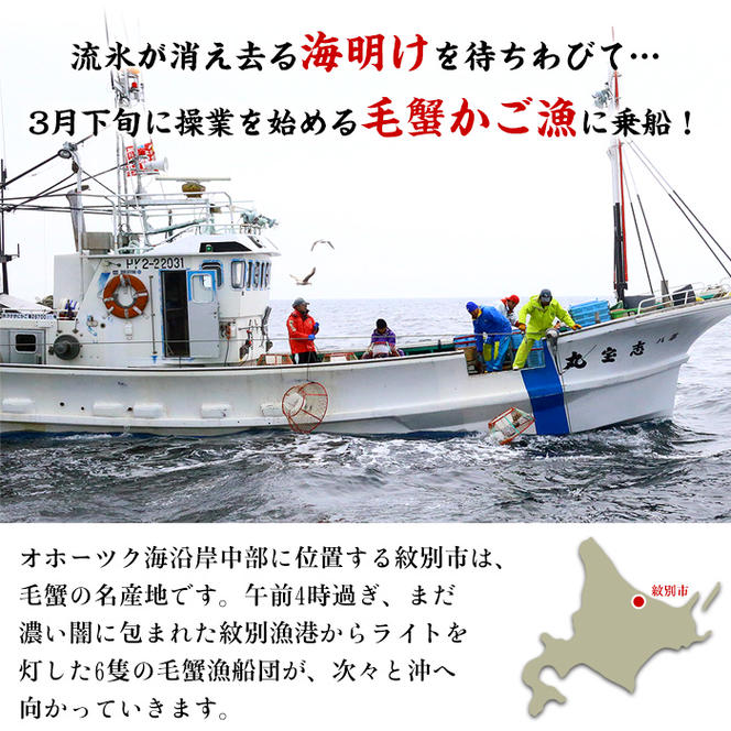 20-269 北海道産　ボイル毛蟹