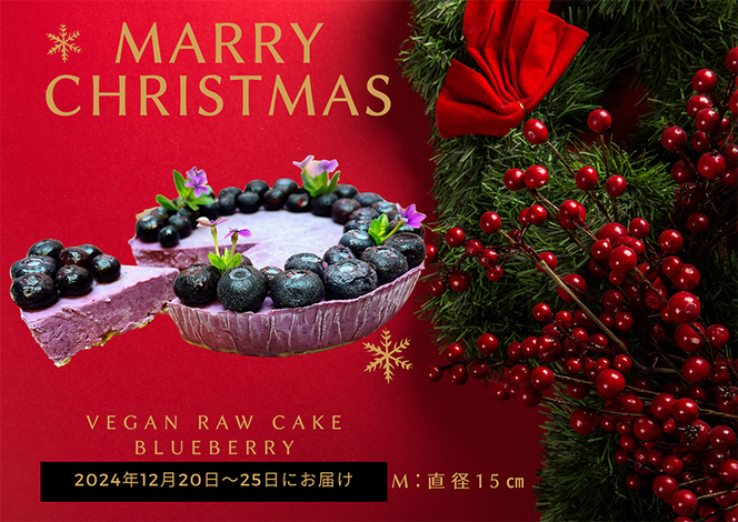 EG128_クリスマスケーキ☆腸や皮膚の健康を維持する栄養素 食物繊維11.7g、亜鉛7mg☆美容と健康に良いVegan raw cakeブルーベリー【M】12月20日～25日お届け