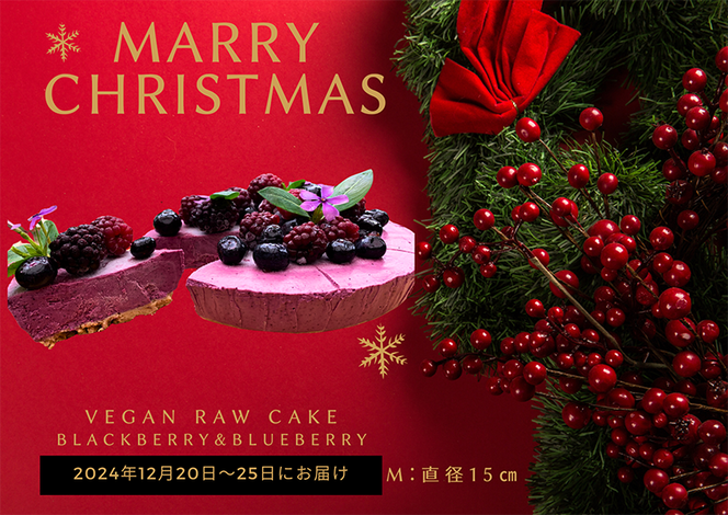 EG130_クリスマスケーキ☆腸や皮膚の健康を維持する栄養素?食物繊維14g、亜鉛7.5mg☆美容と健康に良いVegan raw cakeブルーベリー&ブラックベリー【M】12月20日～25日お届け