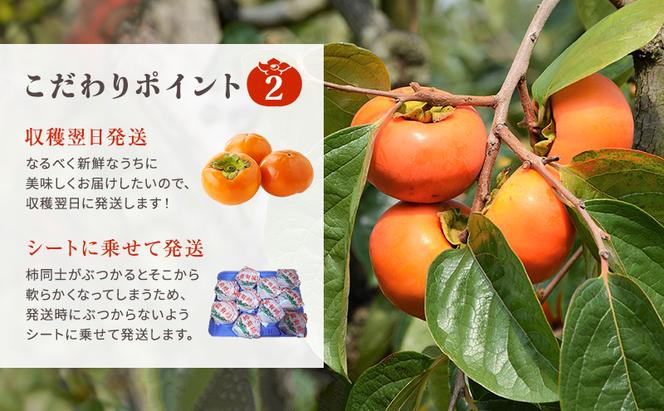 収穫翌日発送！【贈答用】富有柿3Lサイズ10個 かき フルーツ カキ 果物 くだもの 産地直送 瑞穂市 お取り寄せ