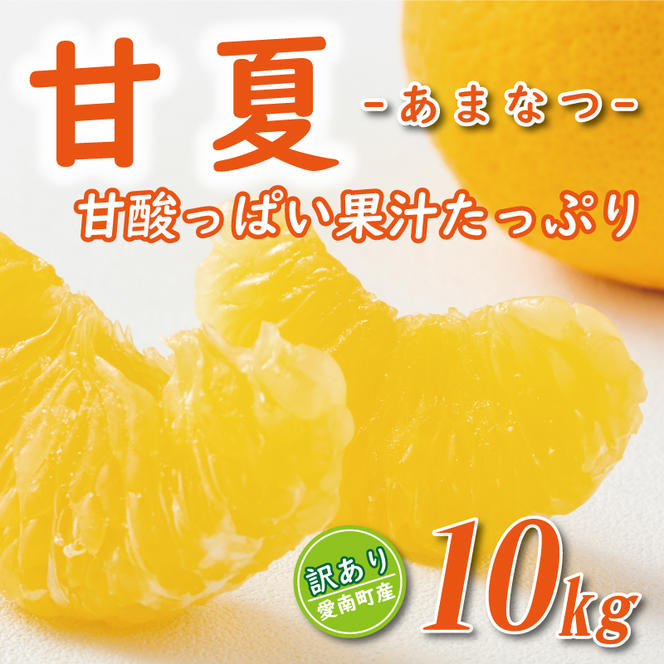 先行予約 訳あり 甘夏 10kg 7000円 樹齢25年 以上 みかん mikan 蜜柑 あまなつ 夏みかん グレープフルーツ だいだい 家庭用 事前 予約 受付 産地直送 国産 農家直送 糖度 期間限定 数量限定 特産品 ゼリー マーマレード ピール ジュース デザート 人気 限定 おいしい 果実 果肉 フルーツ 果物 柑橘 美味しい サイズ ミックス 減農薬 くらもとファーム 愛南町 愛媛県