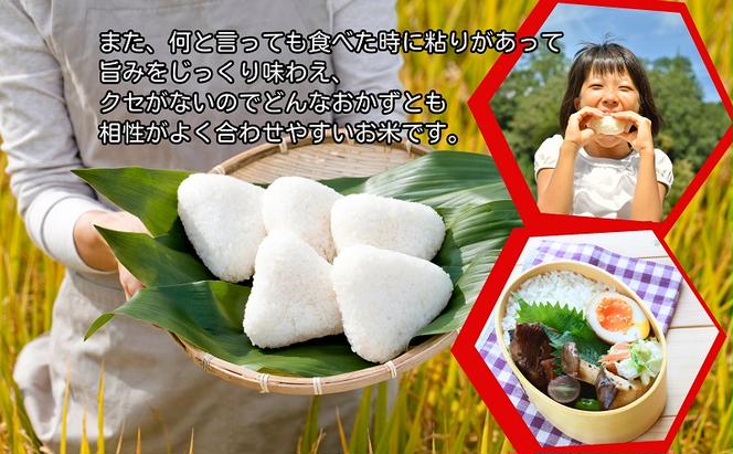 【令和6年産】香川県産 おいでまい 5kg 1袋　米 お米 精米  おいで米 粘り 旨み