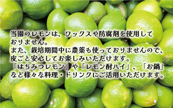 訳あり レモン 5kg 7000円 柑橘 サイズ 不揃い 家庭用 檸檬 国産 フルーツ 果物 果実 産地直送 農家直送 数量限定 期間限定 特産品 瀬戸内 ワックス 防腐剤 不使用 有機栽培 果汁 人気 新鮮 レモネード 塩レモン レモン酢 レモンソース はちみつレモン レモンケーキ レモンスカッシュ レモンサワー レモン酎ハイ ビタミン くらもとファーム 愛南町 愛媛県