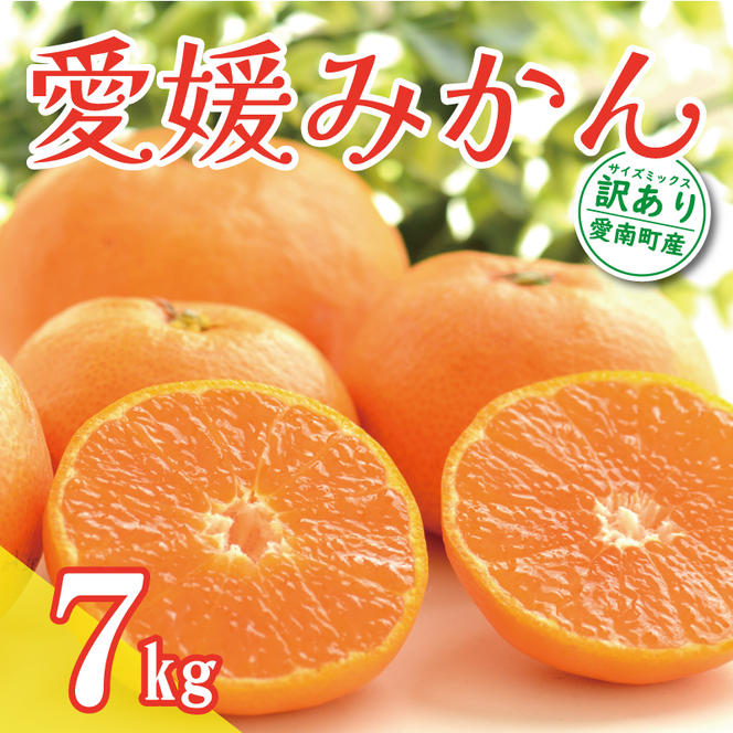 先行予約 訳あり 愛媛みかん 7kg 10000円 温州みかん こたつ みかん 温州 みかん mikan 蜜柑 愛媛 ミカン 完熟 家庭用 産地直送 国産 農家直送 糖度 期間限定 数量限定 特産品 ゼリー ジュース アイス 人気 限定 甘い 果実 果肉 フルーツ 果物 柑橘 先行 事前 予約 受付 ビタミン 健康 美味しい おいしい ジューシー サイズ ミックス くらもとファーム 愛南町 愛媛県