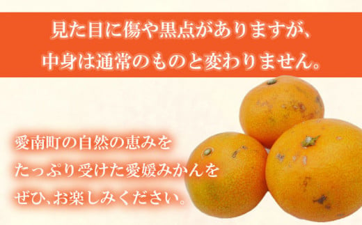 先行予約 訳あり 愛媛みかん 7kg 10000円 温州みかん こたつ みかん 温州 みかん mikan 蜜柑 愛媛 ミカン 完熟 家庭用 産地直送 国産 農家直送 糖度 期間限定 数量限定 特産品 ゼリー ジュース アイス 人気 限定 甘い 果実 果肉 フルーツ 果物 柑橘 先行 事前 予約 受付 ビタミン 健康 美味しい おいしい ジューシー サイズ ミックス くらもとファーム 愛南町 愛媛県