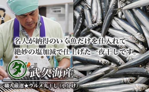 訳あり 魚の 丸干し ＆ 開き おまかせ セット 2.5kg 10000円 魚 海鮮 干物 無添加 ひもの ひらき 詰め合わせ 冷凍 丸干し 鯵 アジ 鯖 さば サバ 鰹 かつお カツオ 鯛 たい タイ 鰯 いわし イワシ 切り身 おつまみ おかず 惣菜 人気 珍味 グルメ 規格外  国産 新鮮 魚介 天然 乾き物 乾物 酒のあて 旬 季節 お中元 お歳暮 母の日 父の日 武久海産 愛南町 愛媛県