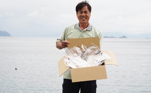 訳あり 魚の 丸干し ＆ 開き おまかせ セット 2.5kg 10000円 魚 海鮮 干物 無添加 ひもの ひらき 詰め合わせ 冷凍 丸干し 鯵 アジ 鯖 さば サバ 鰹 かつお カツオ 鯛 たい タイ 鰯 いわし イワシ 切り身 おつまみ おかず 惣菜 人気 珍味 グルメ 規格外  国産 新鮮 魚介 天然 乾き物 乾物 酒のあて 旬 季節 お中元 お歳暮 母の日 父の日 武久海産 愛南町 愛媛県