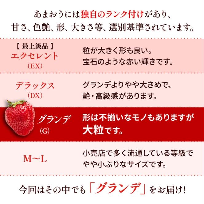 いちご 福岡県産 あまおう 500g (250g×2パック) 先行予約 2024年12月より順次発送 果物 デザート ※配送不可：離島