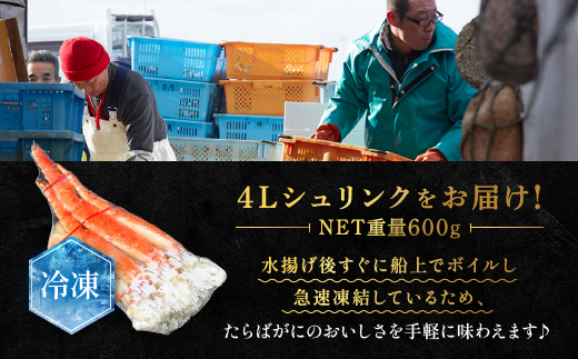 タラバ 脚 ボイル NET重量 600g 4L シュリンク 数量限定 キョクヨー たらばがに タラバガニ たらば蟹 カニ 蟹 肩 足 魚介 海鮮 極洋カニ鍋 焼きガニ