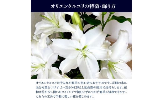 オリエンタルユリ専門農家がお届けする、バラエティパックはおよそ3〜4本で、合計15輪以上のつぼみがついた、その時ハウスから出荷している最上級ユリの詰め合わせです。