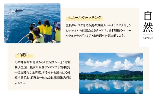 石元農園の土佐文旦 家庭用 大玉 約10キロ 10kg 4Lサイズ 文旦 ブンタン ぶんたん 柑橘 かんきつ 柑橘類 みかん フルーツ デザート おやつ 果物 高知 名物 傷 汚れ 家庭用 ご自宅用