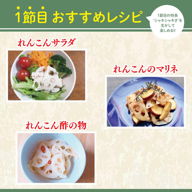 【真空パック】【洗い】【食べ比べ】「横瀬農園のれんこん」（節切り小分け食べ比べ品）約2kg（4～5袋）/ 農家直送 レンコン れんこん 茨城県産 野菜 根菜 行方市産  新鮮 栄養豊富 生産量 日本一(HB-4)