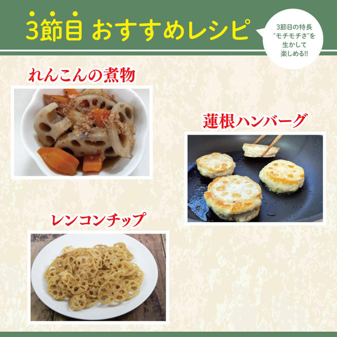 【洗い】「横瀬農園のれんこん」 約２kg（２本入）/ 農家直送 レンコン れんこん 茨城県産 野菜 根菜 行方市産  新鮮 栄養豊富 生産量 日本一(HB-5)