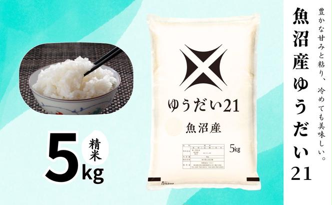 【令和6年産】魚沼産ゆうだい21(精米)5kg 米 お米 精米 ゆうだい 中魚沼 新潟県 十日町市