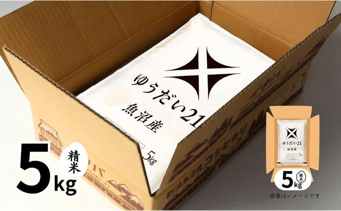 【令和6年産】魚沼産ゆうだい21(精米)5kg 米 お米 精米 ゆうだい 中魚沼 新潟県 十日町市