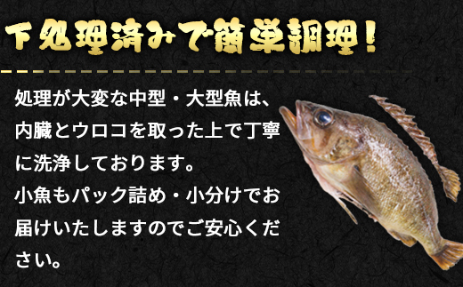 【定期便】 冷凍鮮魚セット 3.6～4kg 年4回お届けコース【漁師応援プロジェクト】