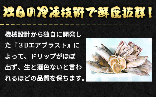 【定期便】 冷凍鮮魚セット 3.6～4kg 年4回お届けコース【漁師応援プロジェクト】