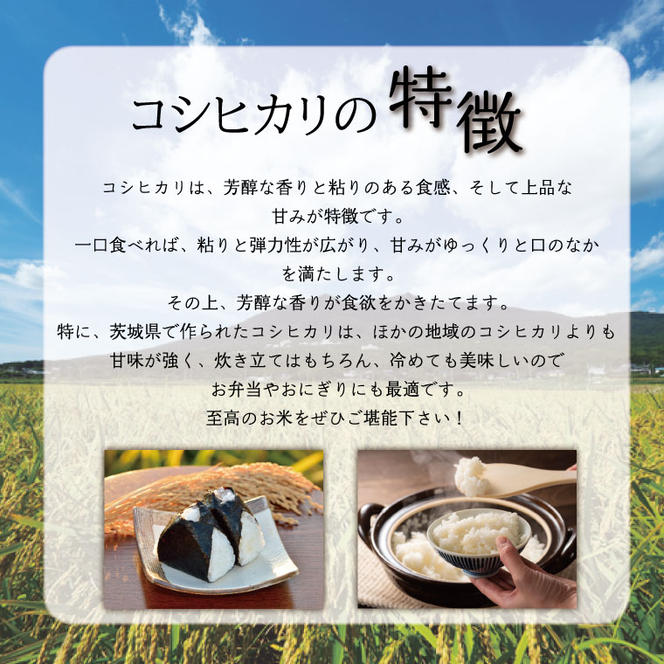 ★新米★【数量限定】R6年産 コシヒカリ 5kg＋にじのきらめき 5kg　茨城県産米　おいしさ食べ比べセット(HA-4-2)