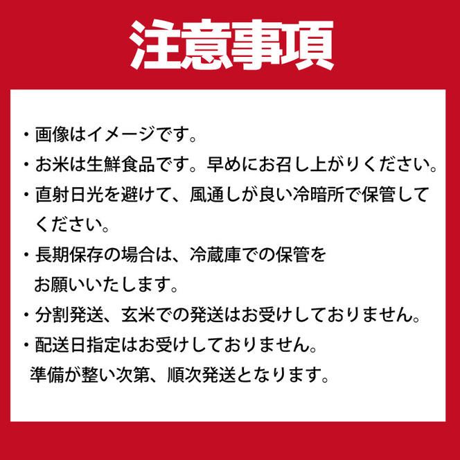 ★新米★【数量限定】R6年産 コシヒカリ 5kg＋にじのきらめき 5kg　茨城県産米　おいしさ食べ比べセット(HA-4-2)