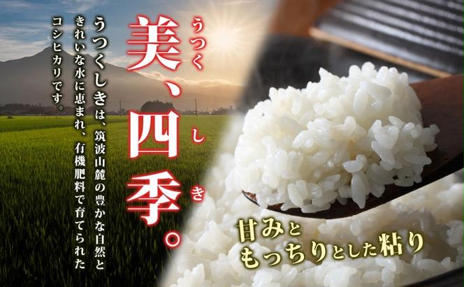 【3ヶ月定期便】 茨城県産 うつくしき 精米 10kg 有機肥料 定期便 こしひかり コシヒカリ 茨城県 米 ごはん ご飯 人気 国産 常備 産地直送 お取り寄せ 送料無料 結城市