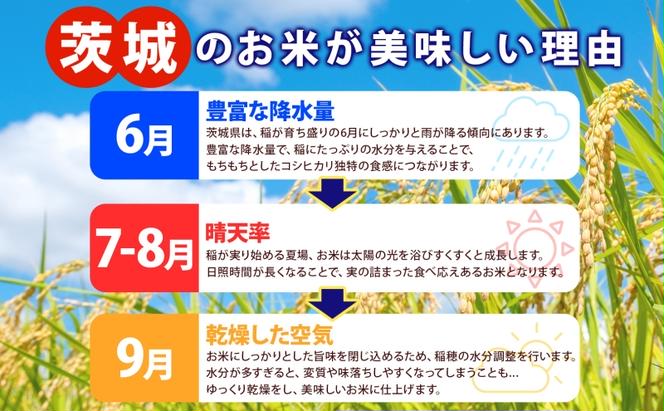 【3ヶ月定期便】 茨城県産 うつくしき 精米 10kg 有機肥料 定期便 こしひかり コシヒカリ 茨城県 米 ごはん ご飯 人気 国産 常備 産地直送 お取り寄せ 送料無料 結城市