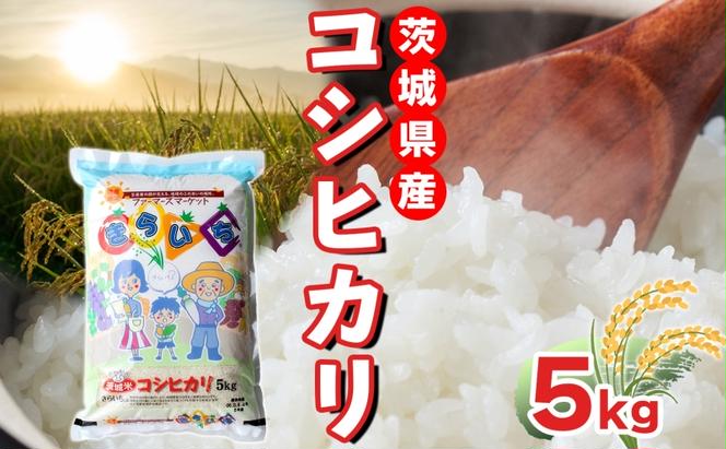 茨城県産 こしひかり 精米 5kg コシヒカリ 茨城県 お米 白米 米 コメ rice ごはん ご飯 おにぎり ブランド米 人気 国産 常備 産地直送 お取り寄せ 送料無料 結城市