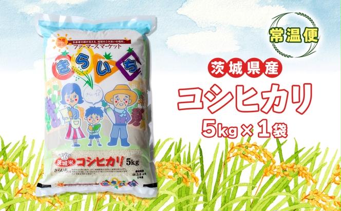 茨城県産 こしひかり 精米 5kg コシヒカリ 茨城県 お米 白米 米 コメ rice ごはん ご飯 おにぎり ブランド米 人気 国産 常備 産地直送 お取り寄せ 送料無料 結城市