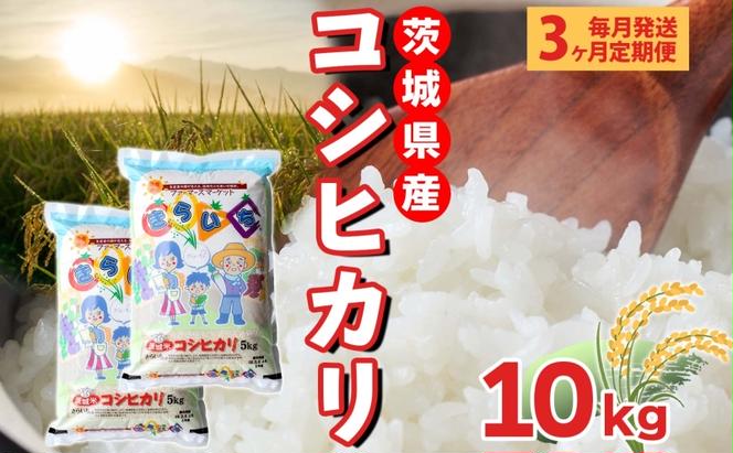 【3ヶ月定期便】 茨城県産 こしひかり 精米 10kg 定期便 コシヒカリ 茨城県 米 ごはん ご飯 おにぎり ブランド米 人気 国産 常備 産地直送 お取り寄せ 送料無料 結城市