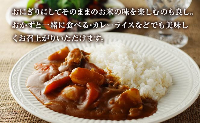 岐阜県産 にじのきらめき 10kg(5kg×2袋) 米 お米 コメ 白米 精米 岐阜 瑞穂市