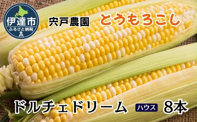 とうもろこし ドルチェドリーム L～LLサイズ 8本 ハウス 栽培 バイカラー スイートコーン 北海道 伊達市 生産者 直送 新鮮 宍戸農園 【オンライン決済限定】