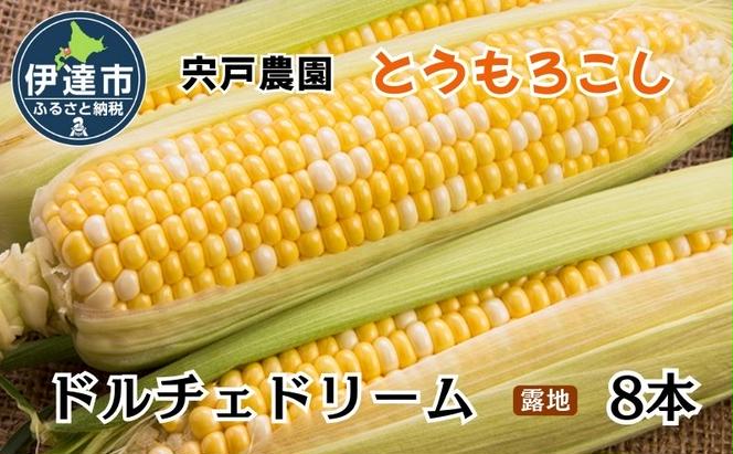 とうもろこし ドルチェドリーム L～LLサイズ 8本 露地 栽培 バイカラー スイートコーン 北海道 伊達市 生産者 直送 新鮮 宍戸農園  【オンライン決済限定】