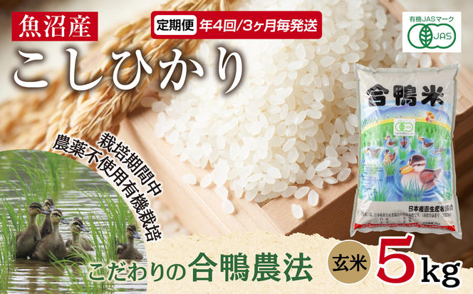 定期便 年4回 3か月毎 魚沼産 コシヒカリ 5kg あいがも農法 有機栽培米 玄米 米 お米  ご飯 胚芽 合鴨 ごんべい こしひかり 特A 人気 安全 お取り寄せ 送料無料 新潟県 十日町市 