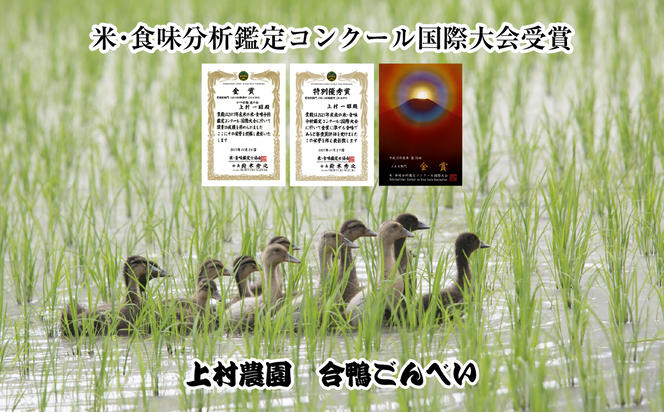 定期便 年4回 3か月毎 魚沼産 コシヒカリ 5kg あいがも農法 有機栽培米 玄米 米 お米  ご飯 胚芽 合鴨 ごんべい こしひかり 特A 人気 安全 お取り寄せ 送料無料 新潟県 十日町市 