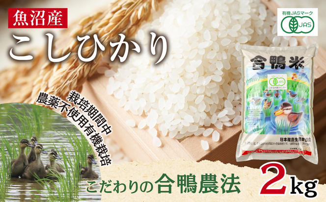 魚沼産 コシヒカリ 2kg あいがも農法 有機栽培米 精米 米 お米 ご飯 白米 合鴨 ごんべい こしひかり 特A 人気 安全 お取り寄せ 送料無料 新潟県 十日町市