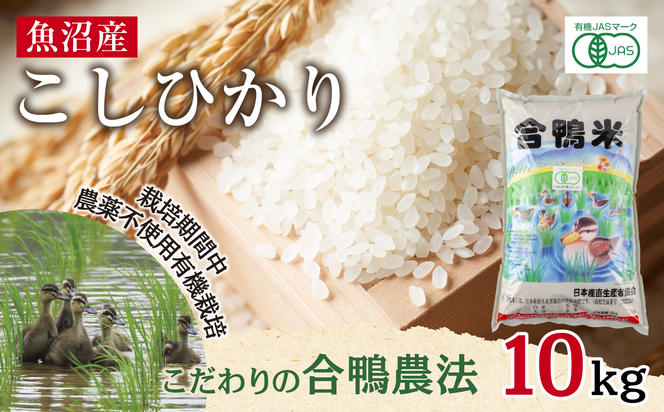 魚沼産 コシヒカリ 10kg あいがも農法 有機栽培米 精米 米 お米 ご飯 白米 合鴨 ごんべい こしひかり 特A 人気 安全 お取り寄せ 送料無料 新潟県 十日町市